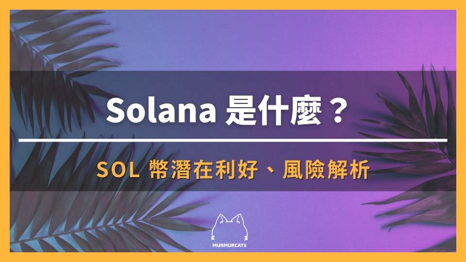 Solana 是什麼？SOL 幣潛在利好、風險解析