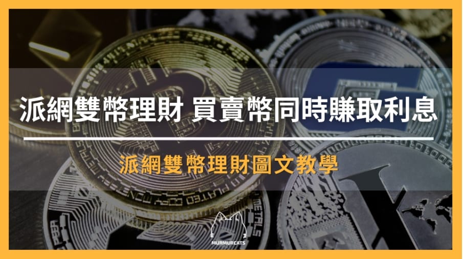 派網雙幣理財