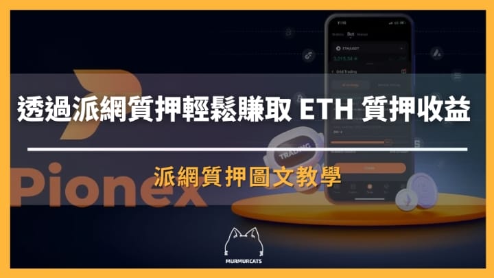 派網質押