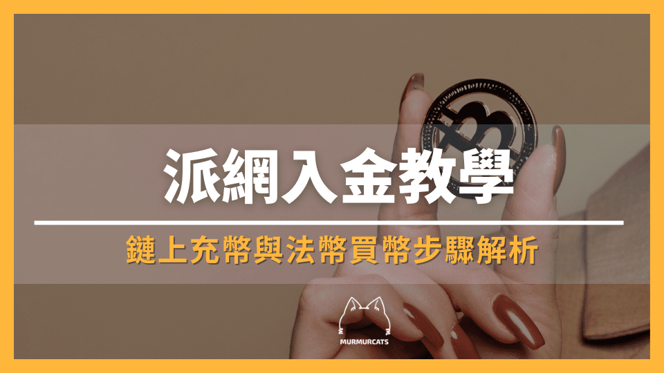 派網入金