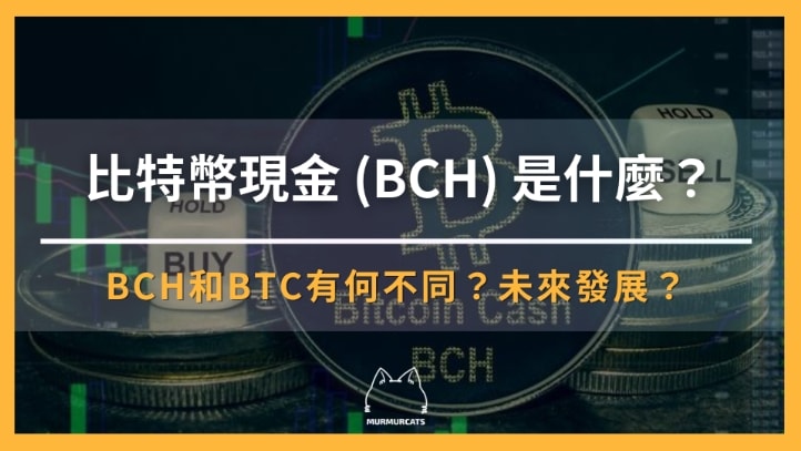 比特幣現金 BCH
