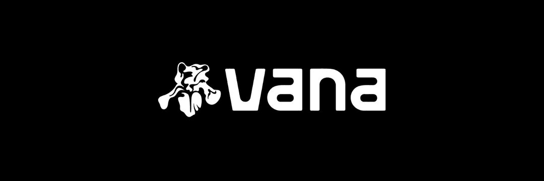 Vana幣是什麼?Vana 幣用途、投資潛力分析、購買方式 - 第1張圖