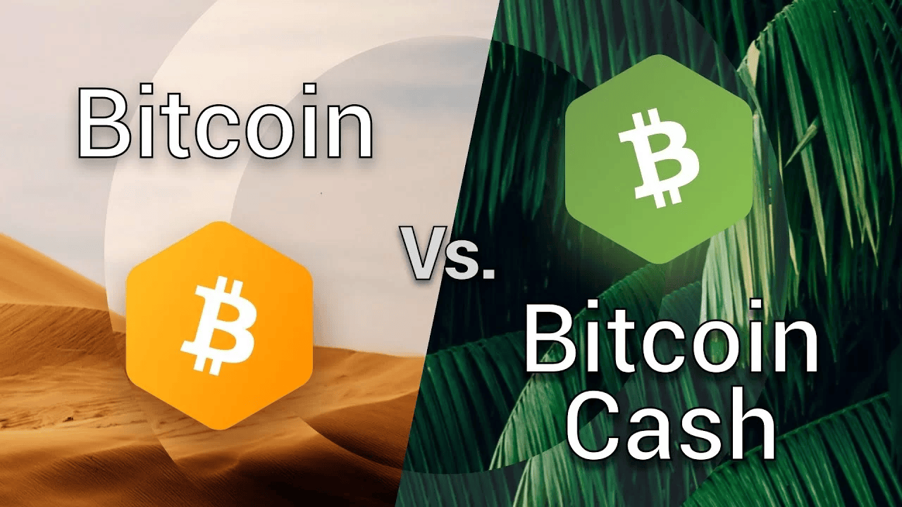 比特幣現金 (BCH) 是什麼?和比特幣有什麼不同? - 第1張圖