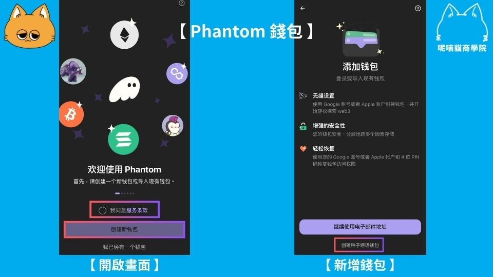【2025 新手教學】Phantom 錢包怎麼用?收幣、轉帳、NFT 全面指南 - 第5張圖