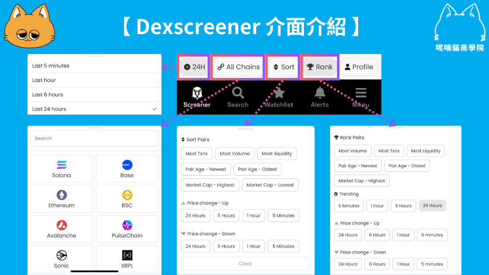 Dexscreener 全面解析:快速發掘鏈上 Alpha 的必備工具 - 第5張圖