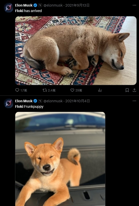 Floki幣是什麼?FLOKI 從迷因幣走向完整 Web3 生態霸主 - 第2張圖