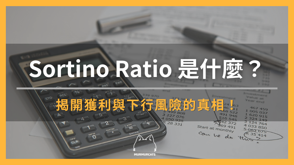 Sortino Ratio 是什麼？揭開獲利與損失風險的真相！