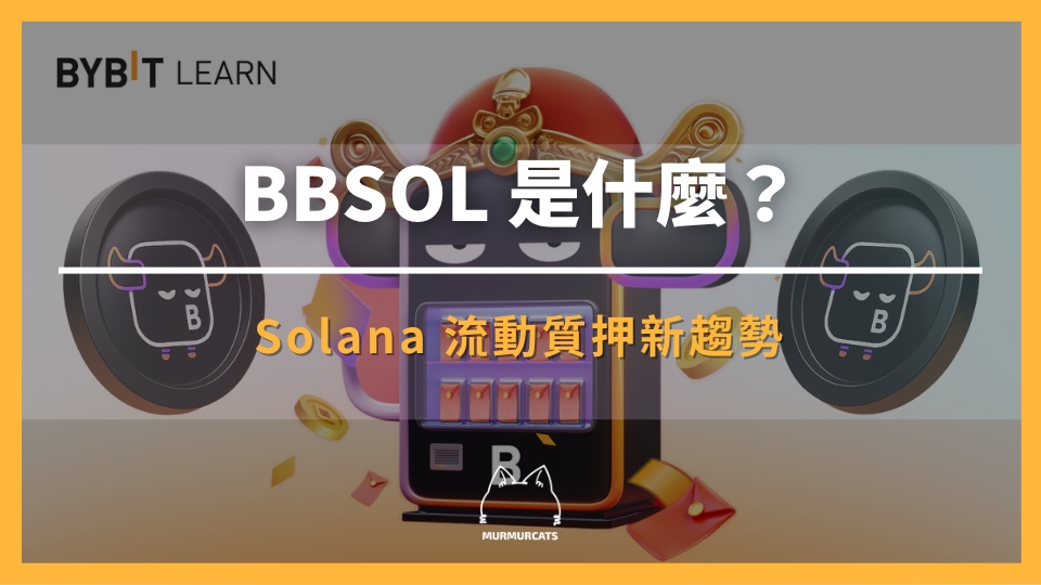 bbSOL 是什麼？