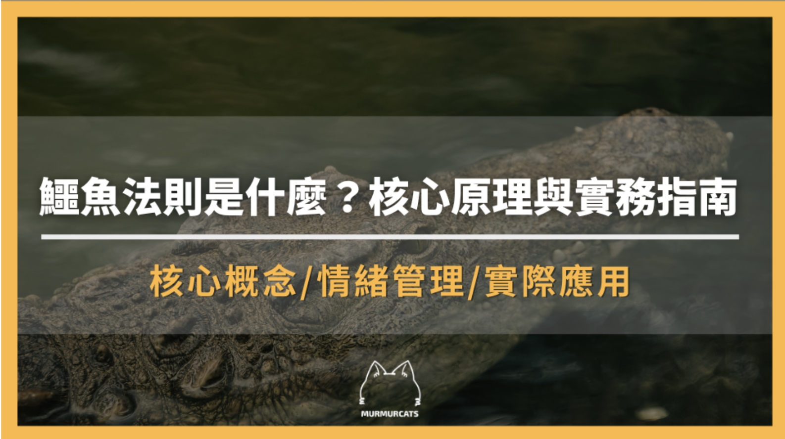 鱷魚法則是什麼？核心原理與實務指南