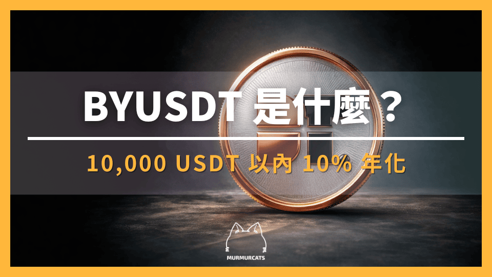 BYUSDT 是什麼?