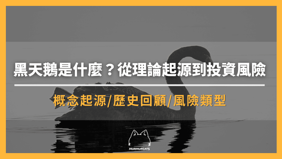 黑天鵝是什麼？從理論起源到投資風險應對啟示