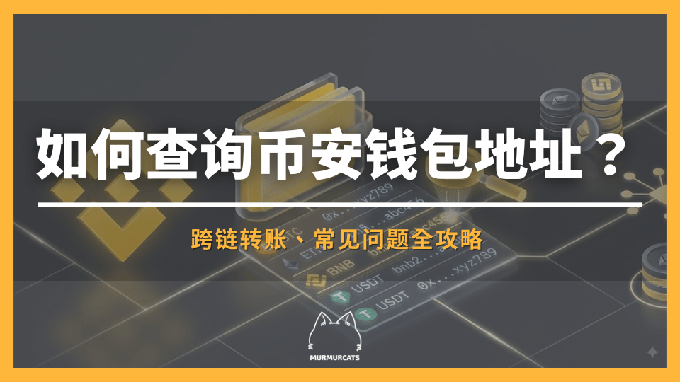 如何查询币安钱包地址？
